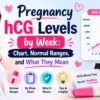 pregnancy hCG levels by week